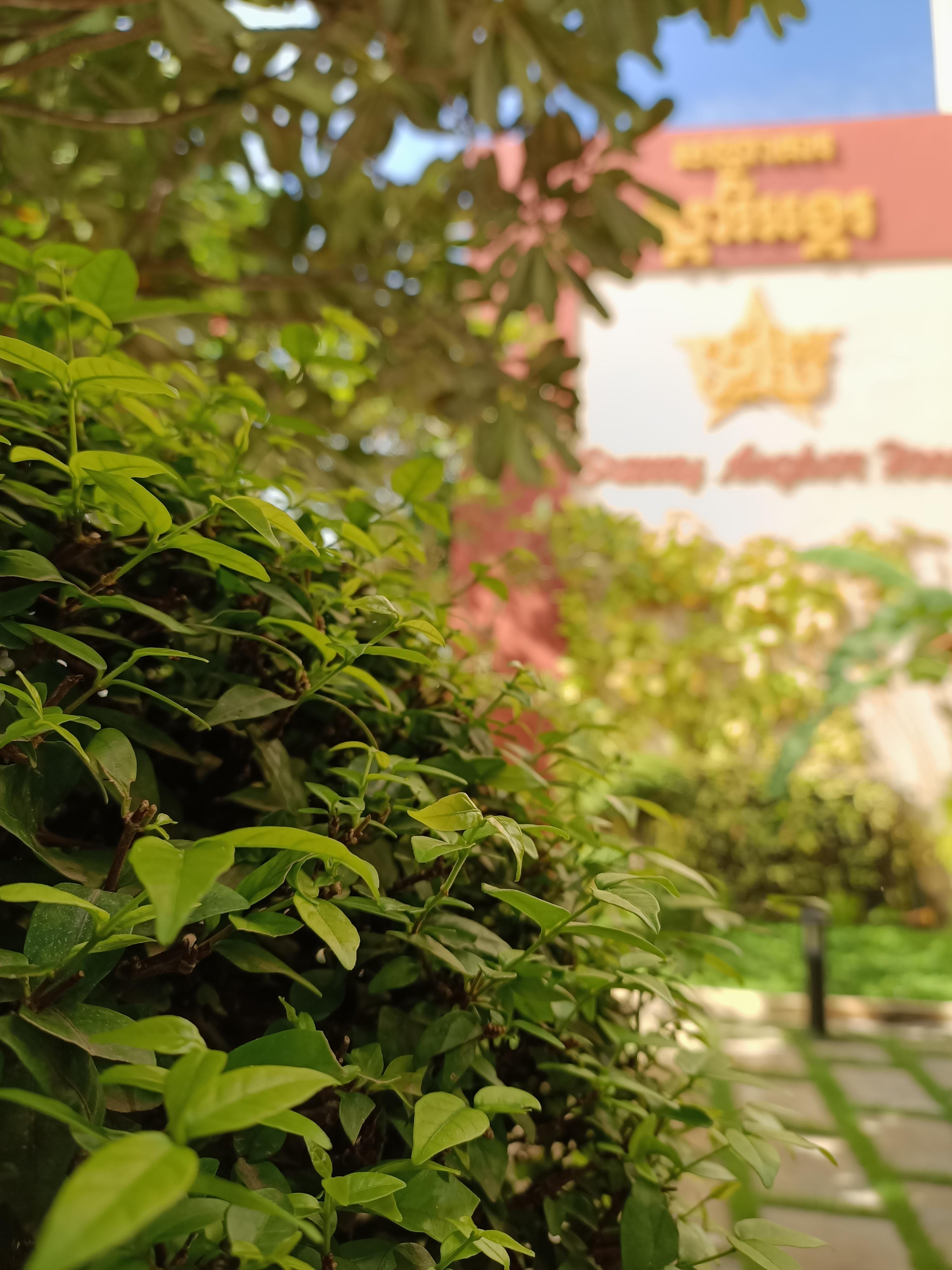 Starry Angkor Hotel Siem Reap Bagian luar foto