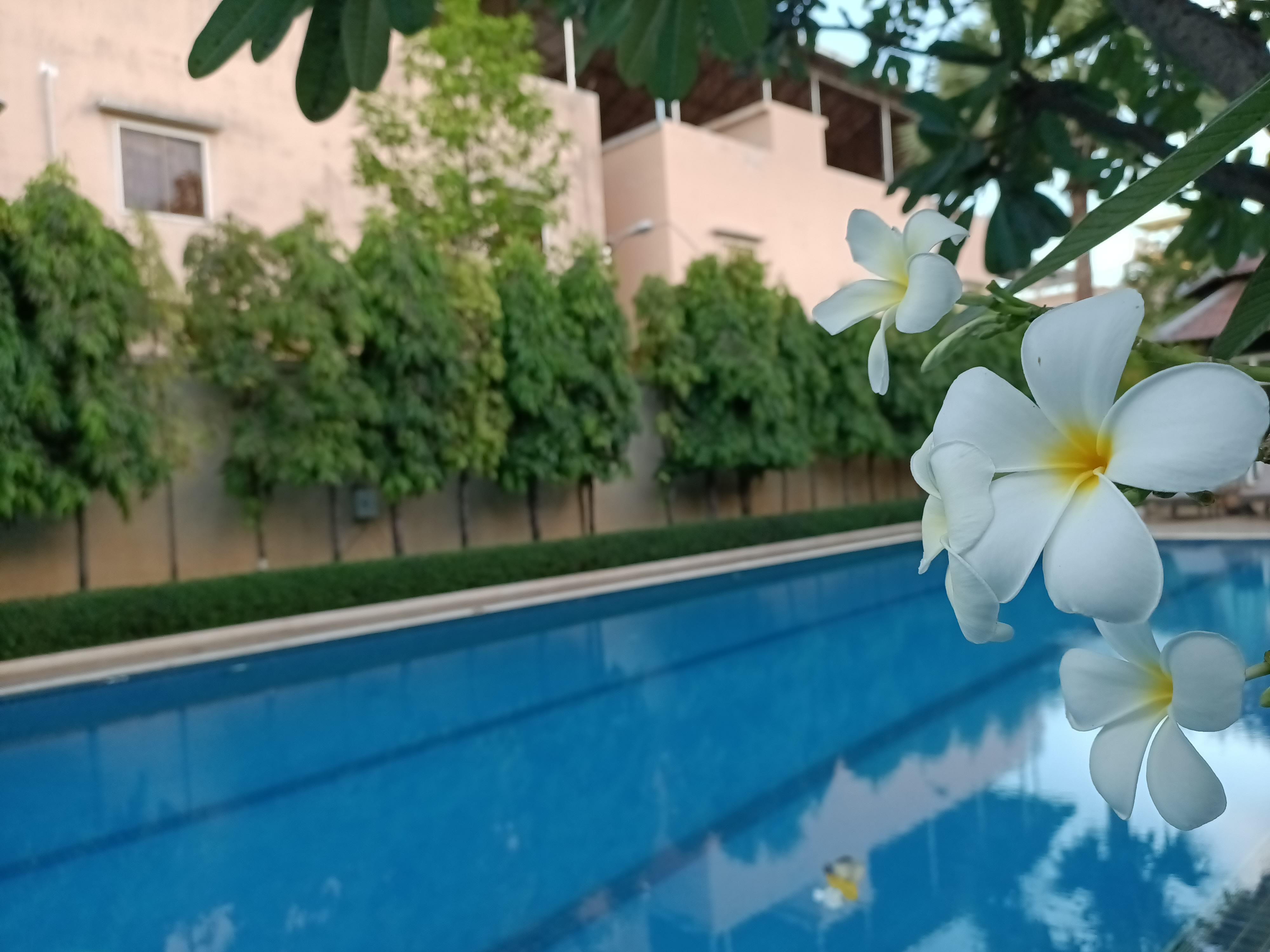 Starry Angkor Hotel Siem Reap Bagian luar foto