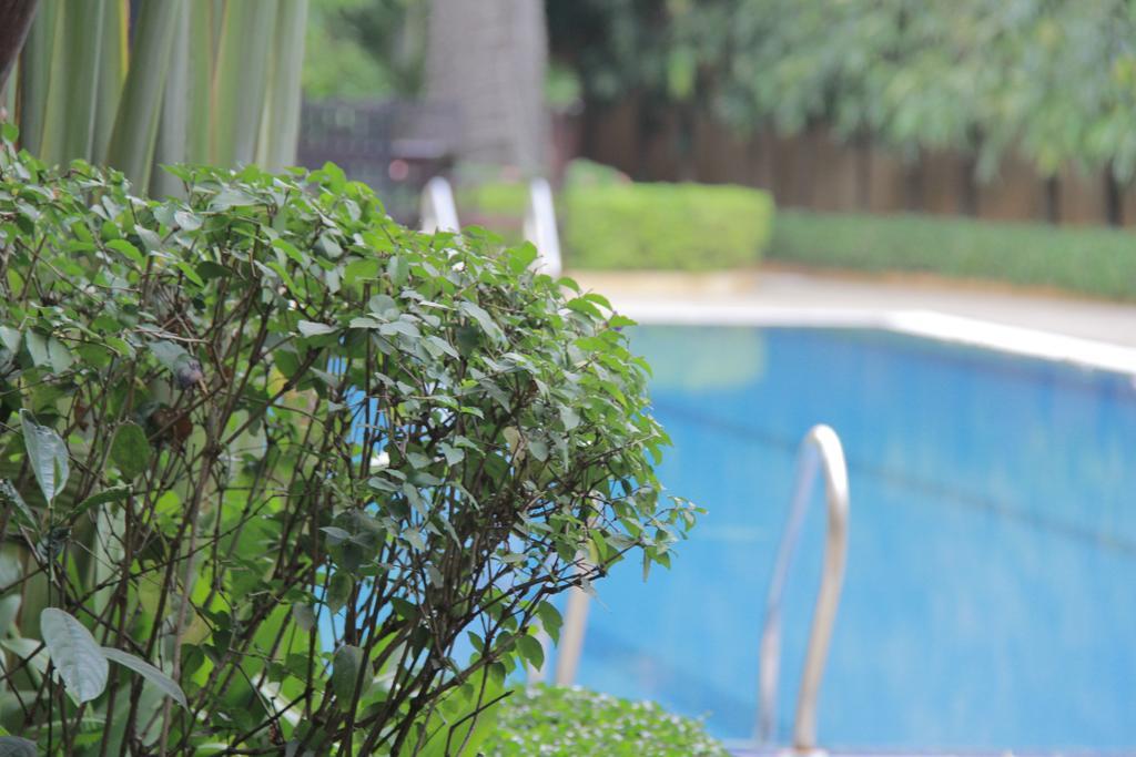 Starry Angkor Hotel Siem Reap Bagian luar foto